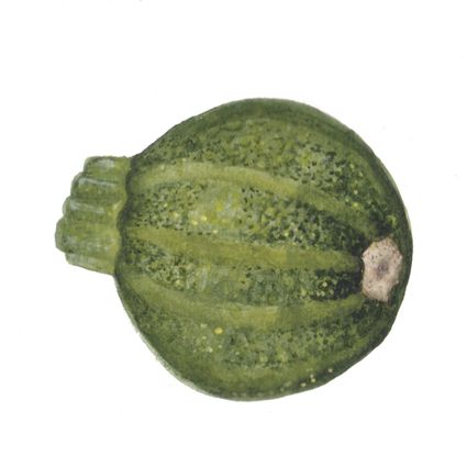 Courgetteronde