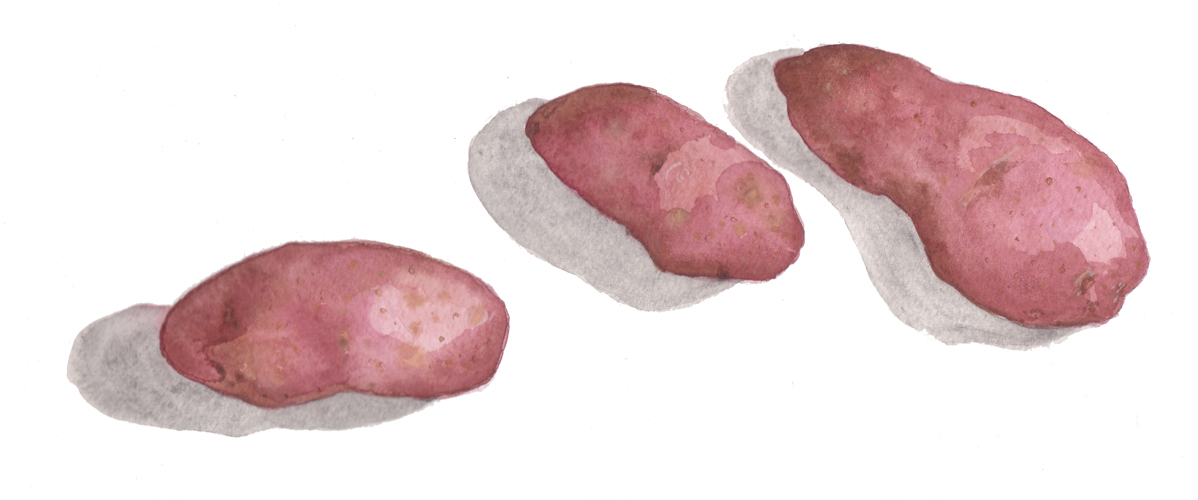 Pataterose