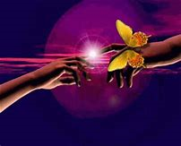 Papillons-2