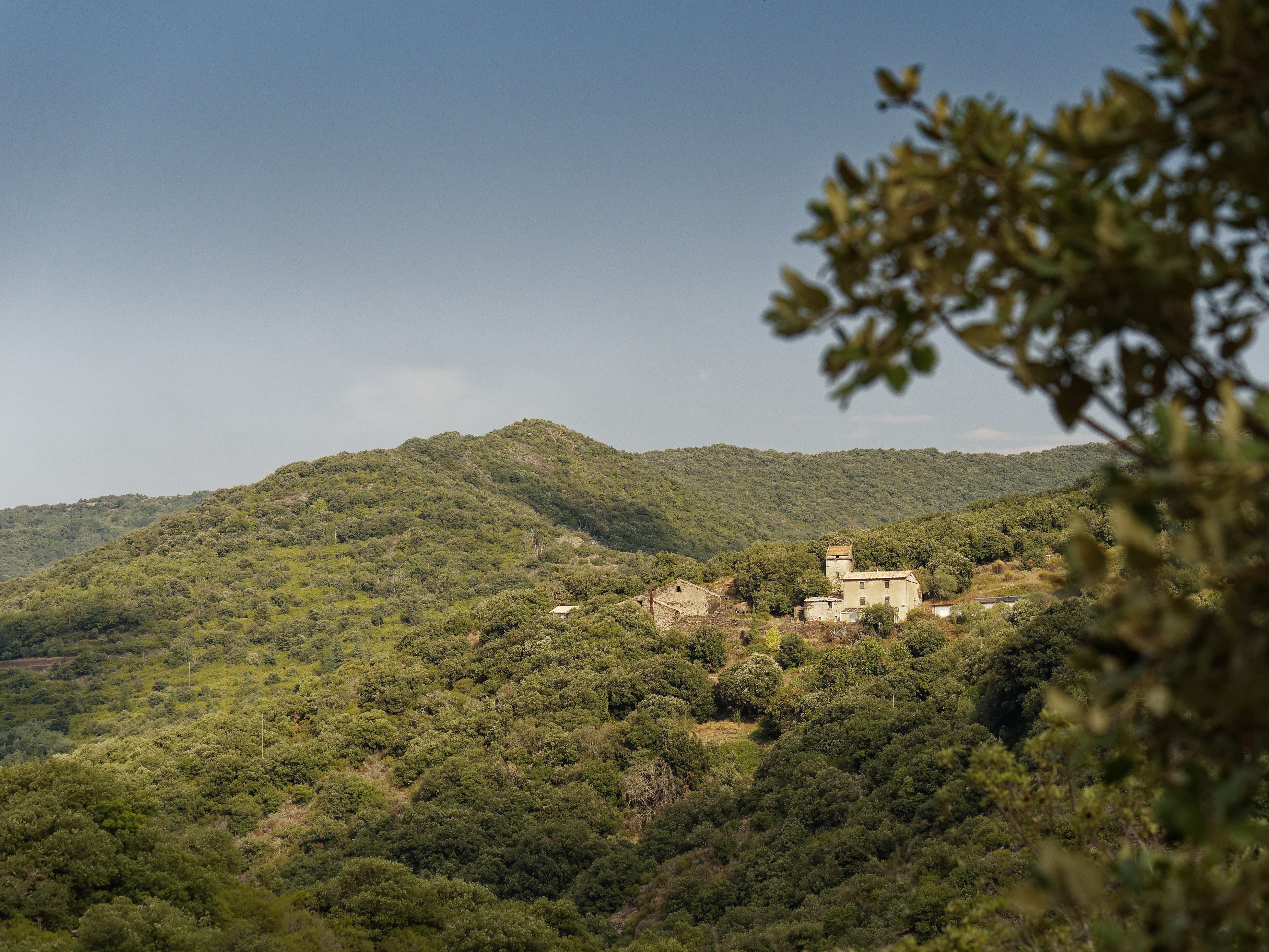 Les ilhes le vigne