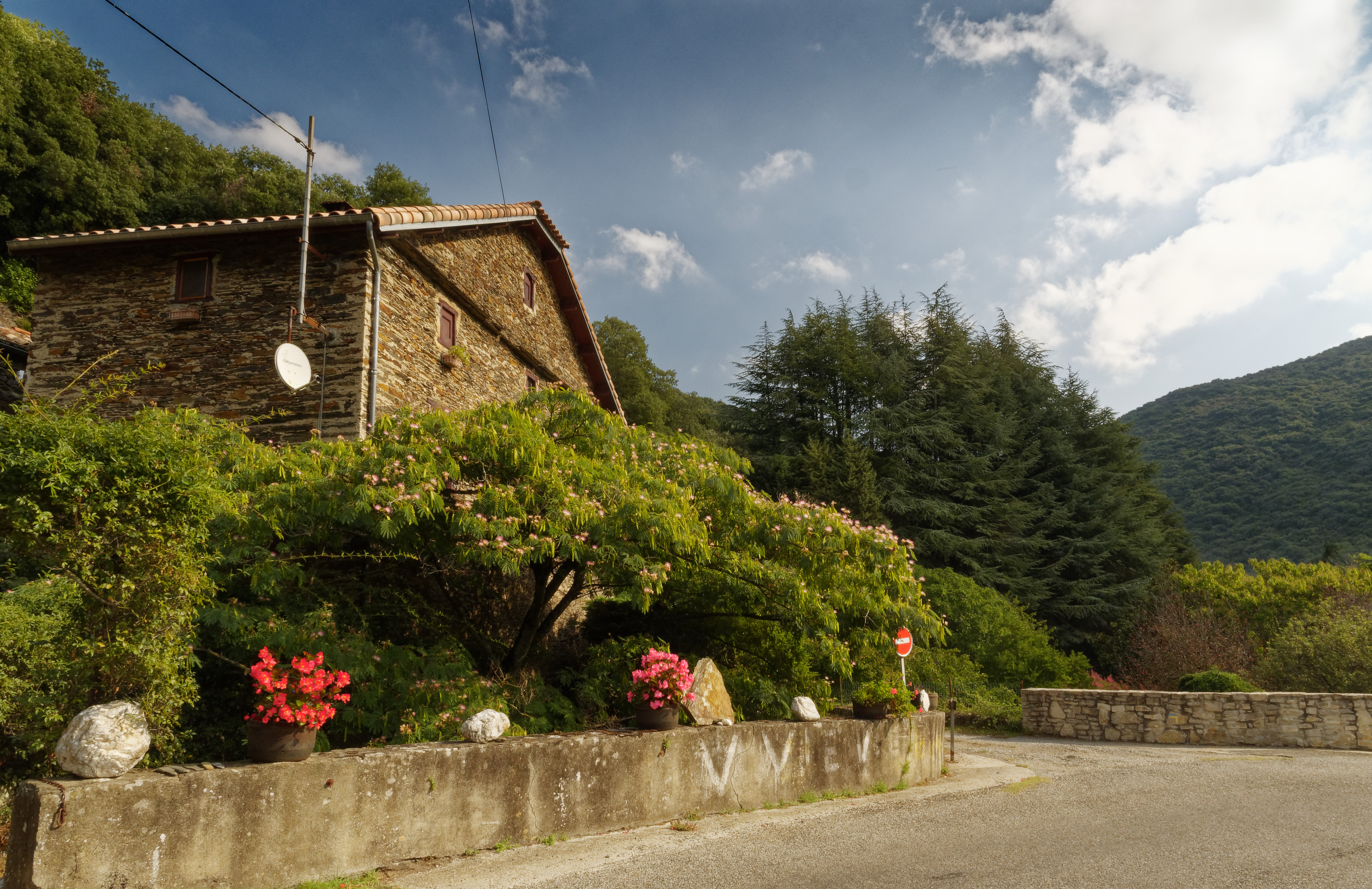 La grave