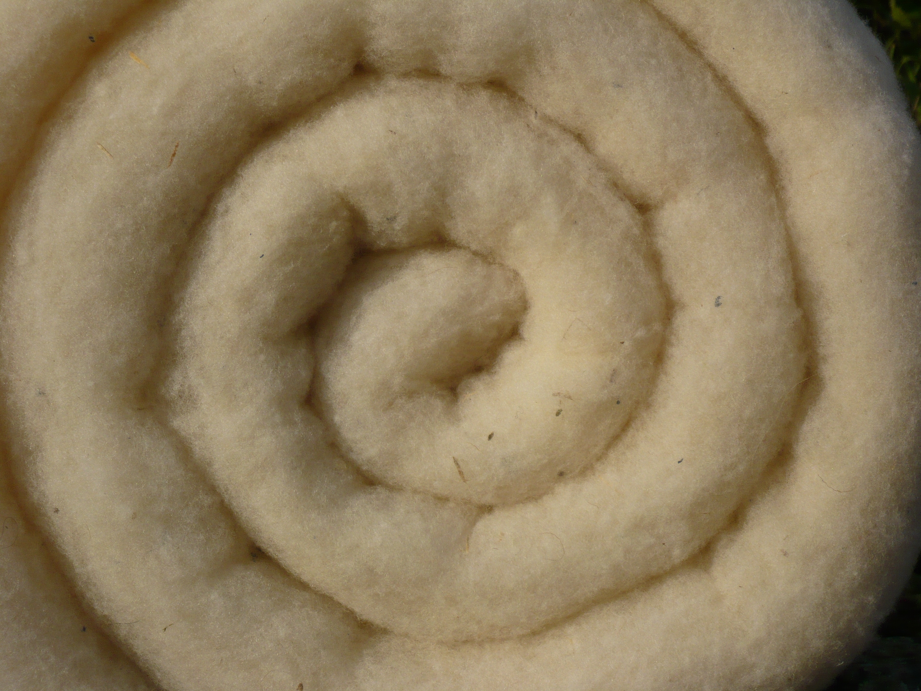 P1060248
