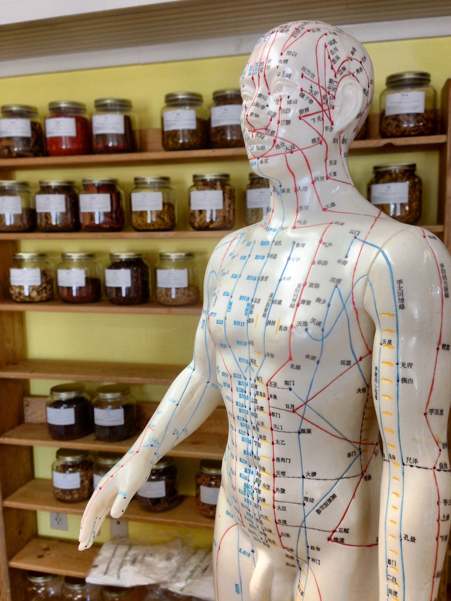 Acupuncture-2308489 1920