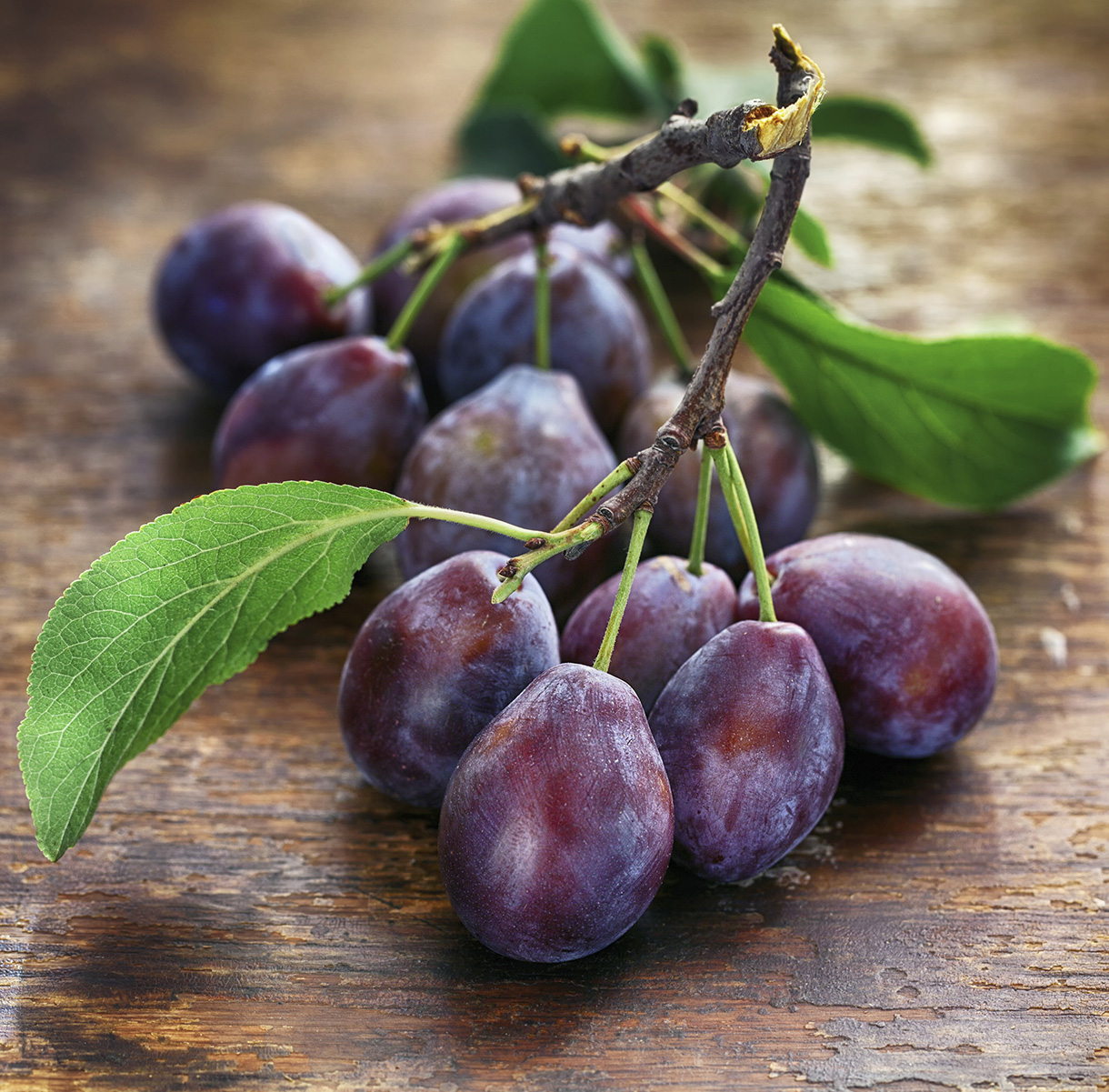 Prune th