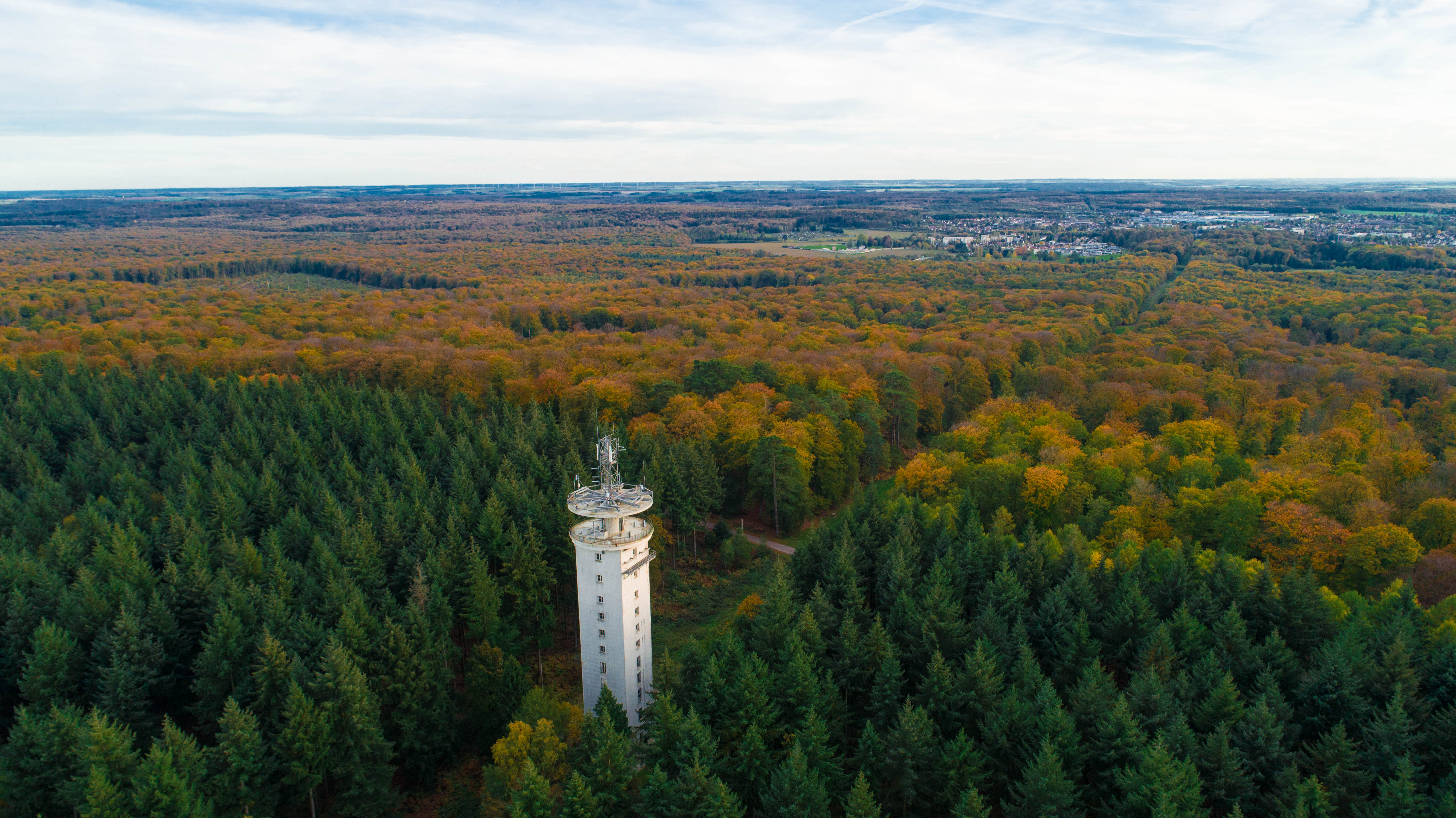 Foret-de-Retz-9-min