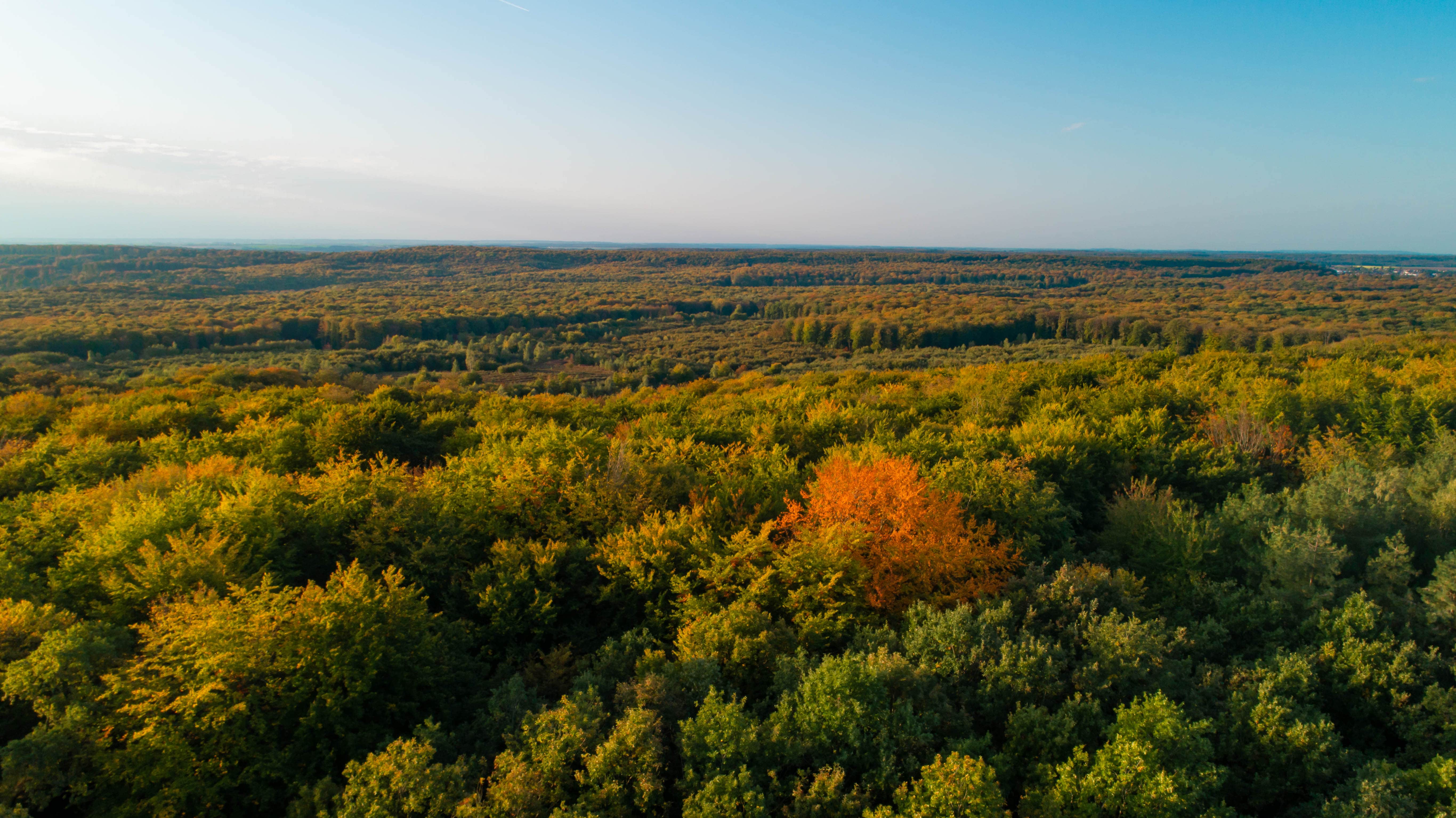 Foret-de-Retz-10-min