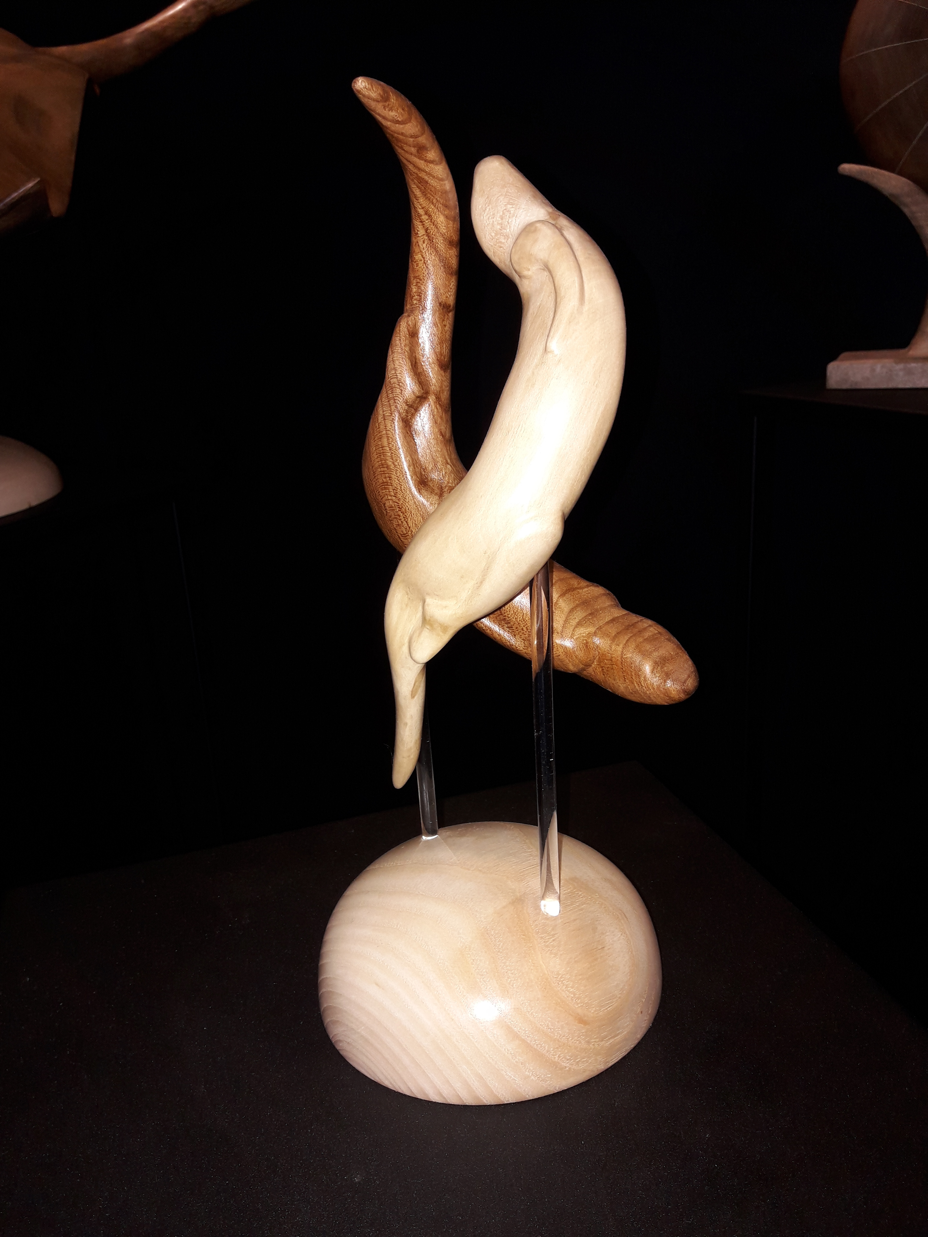 Duo de loutre