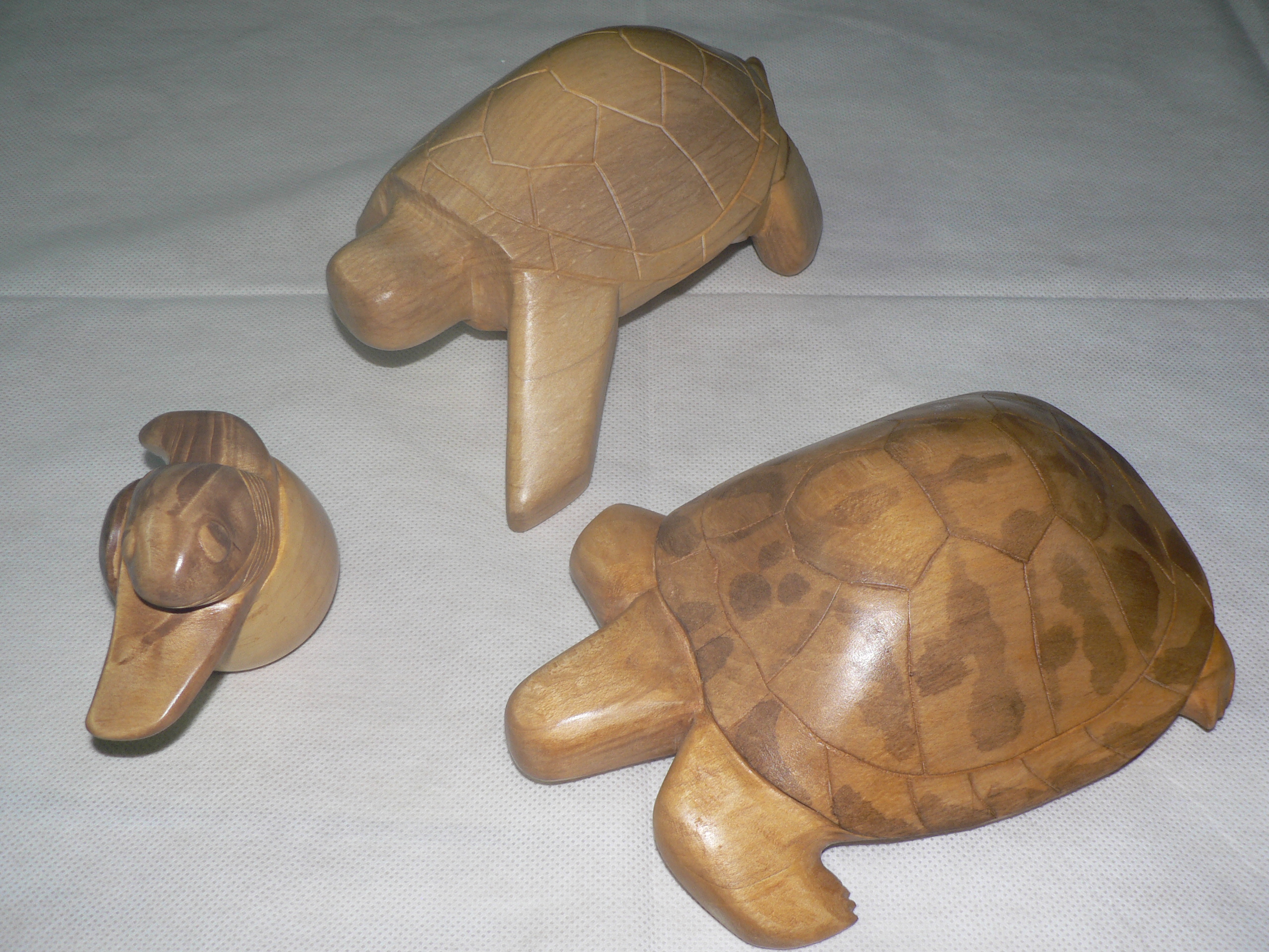 Sculpture tortue 18 