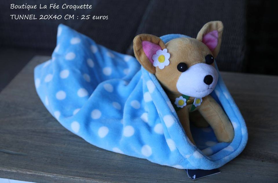 53535818 903642553336031 7850754189029277696 o