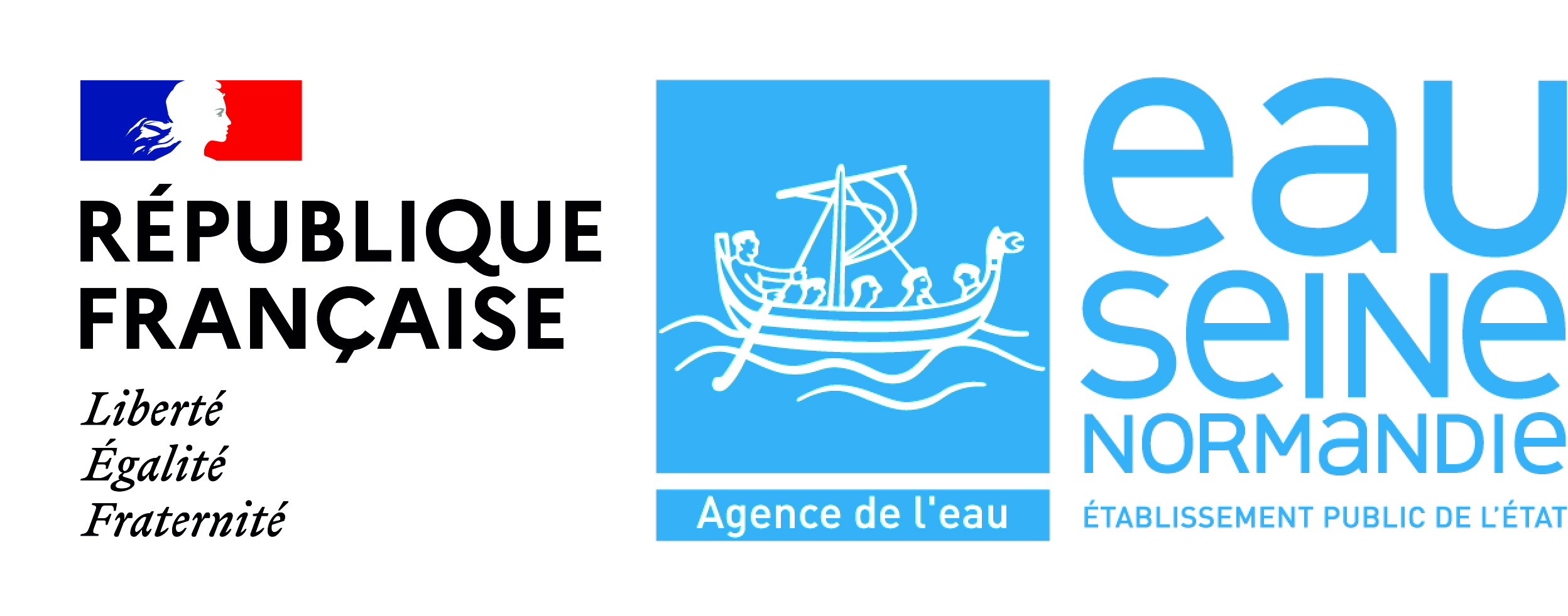AESN 2020