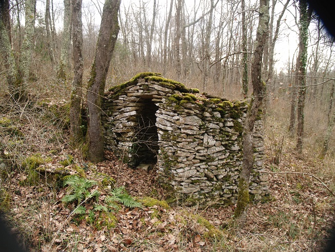 P1012303