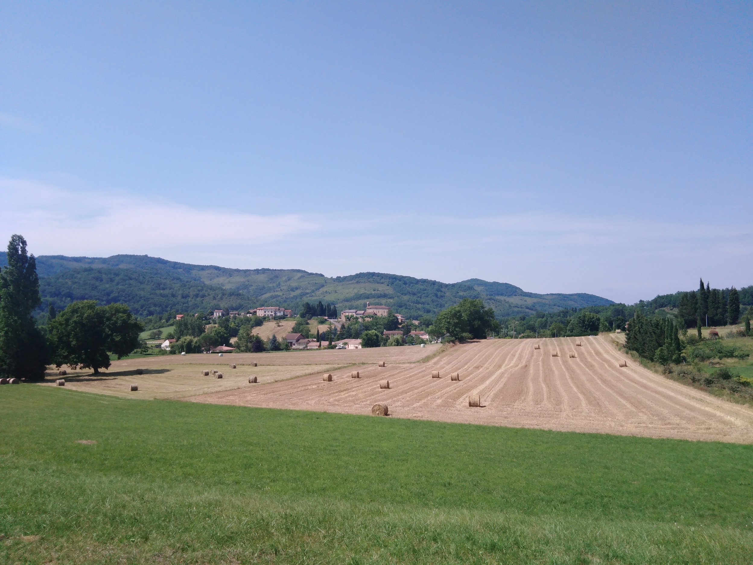IMG 20200626 160522