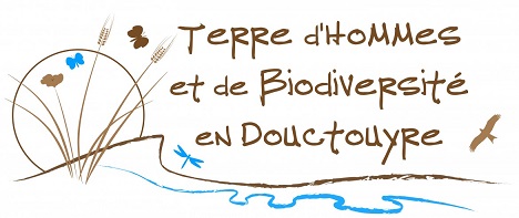 Logo-THBD2-e1460461969732