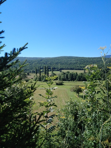 IMG 20200705 104850