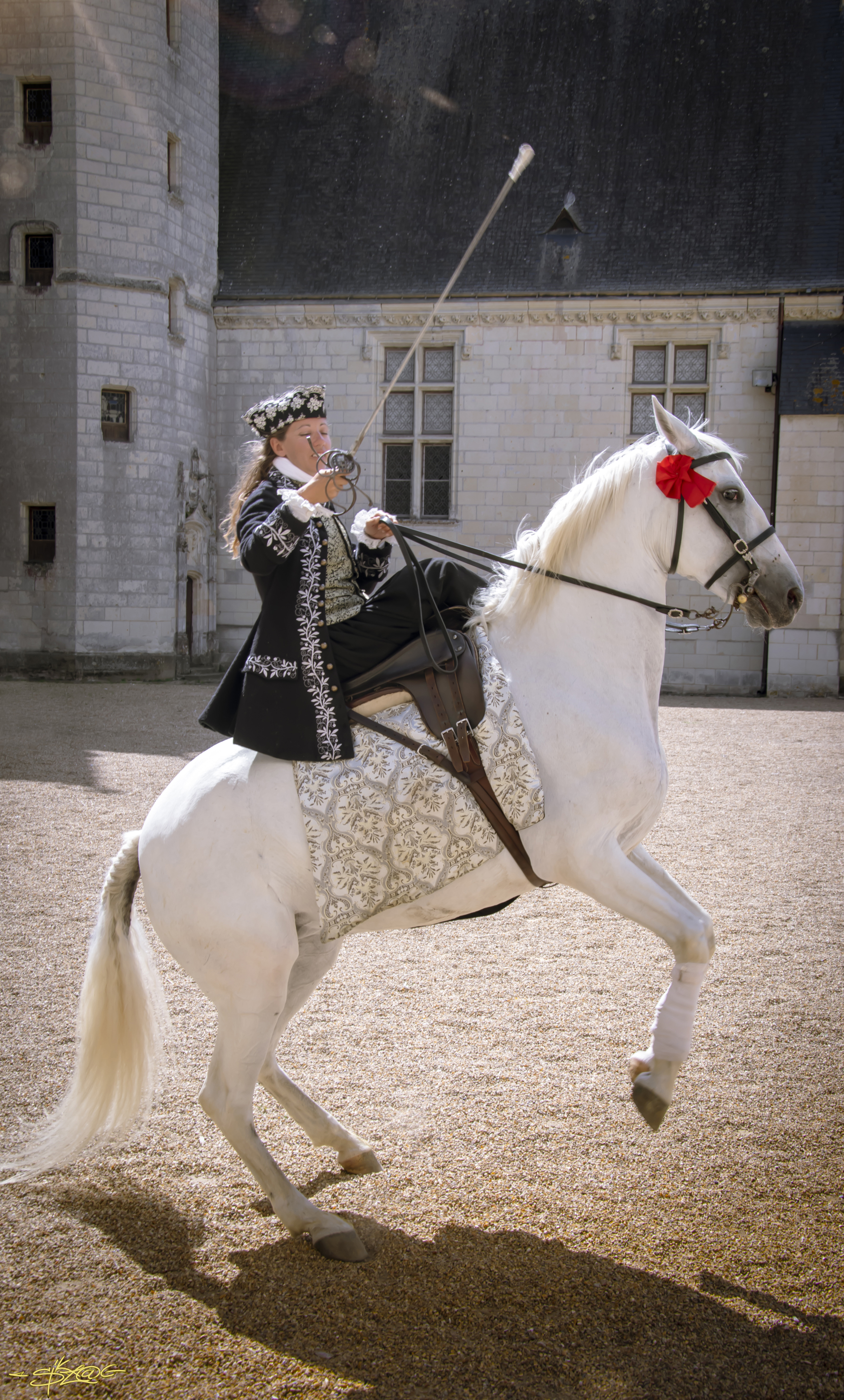 Chateau-Plessis-Bourre080220 02