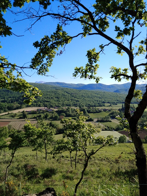 IMG 20190515 183808 1