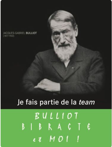 Bulliot, Bibracte et moi