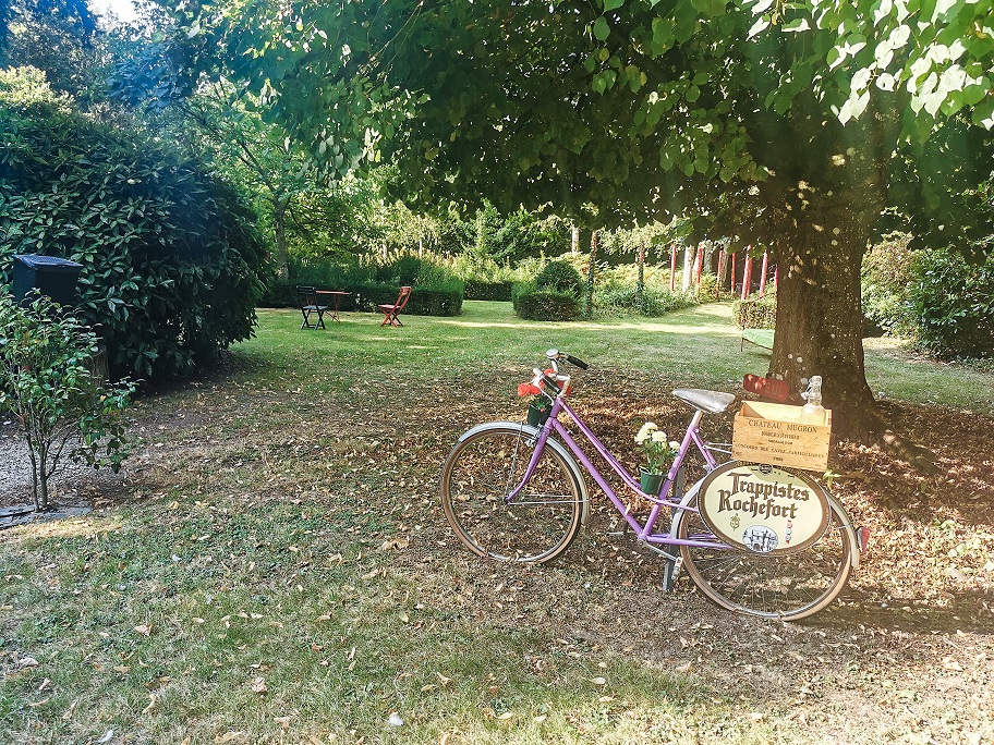 Jardin 6