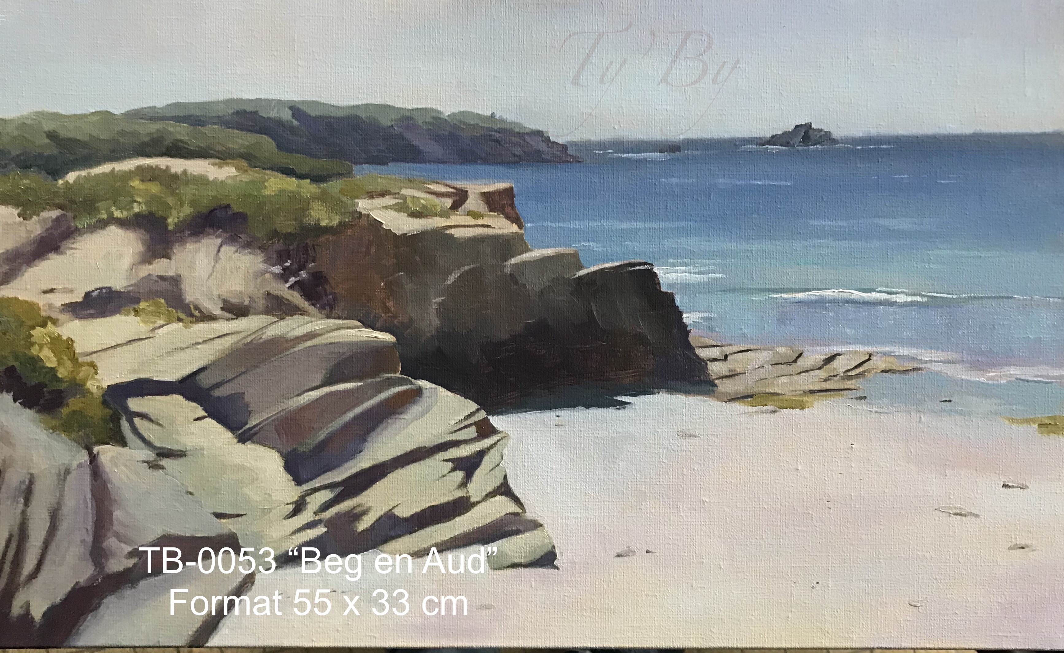 Ty by artiste peintre quiberon tb0053