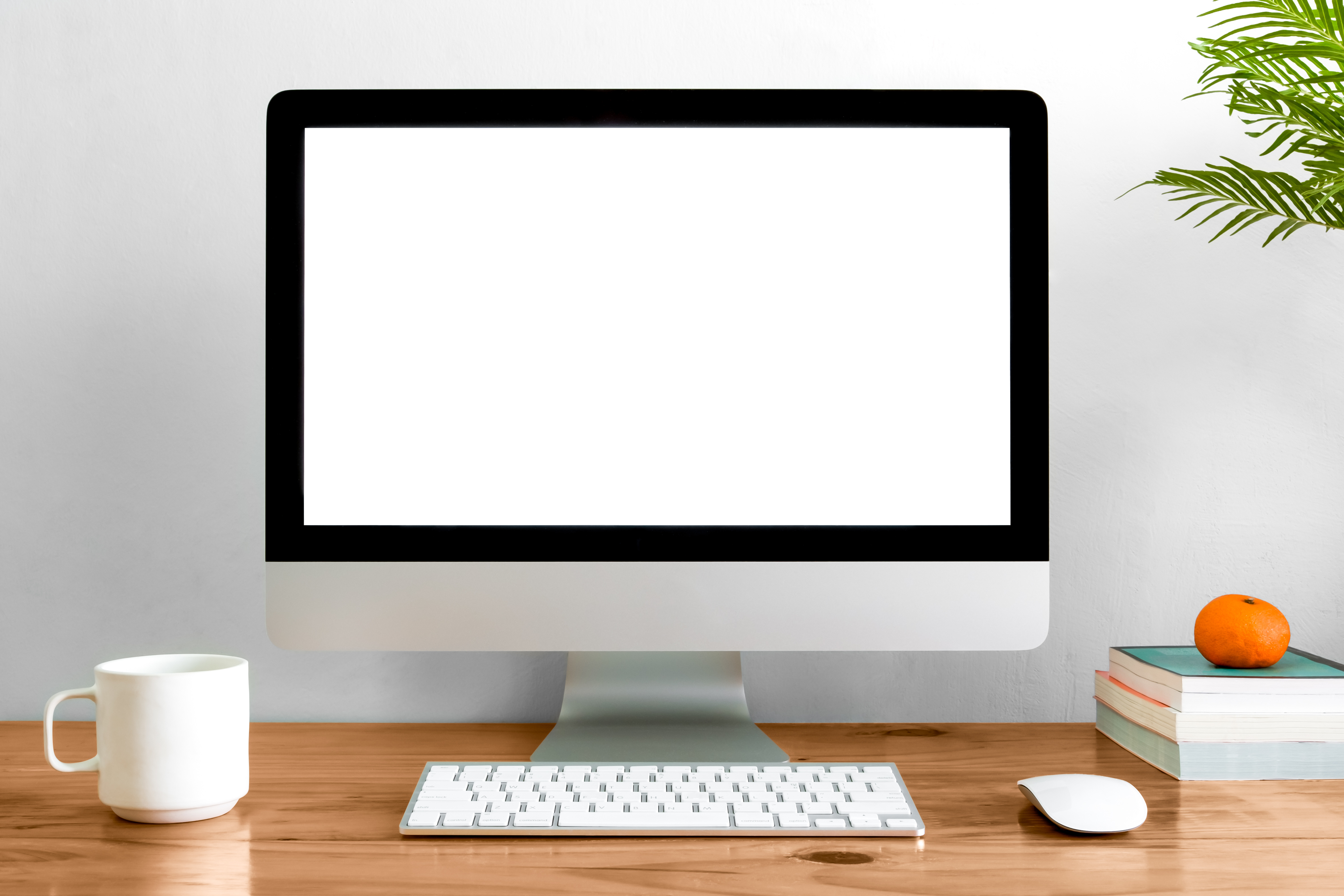 AdobeStock 101211369