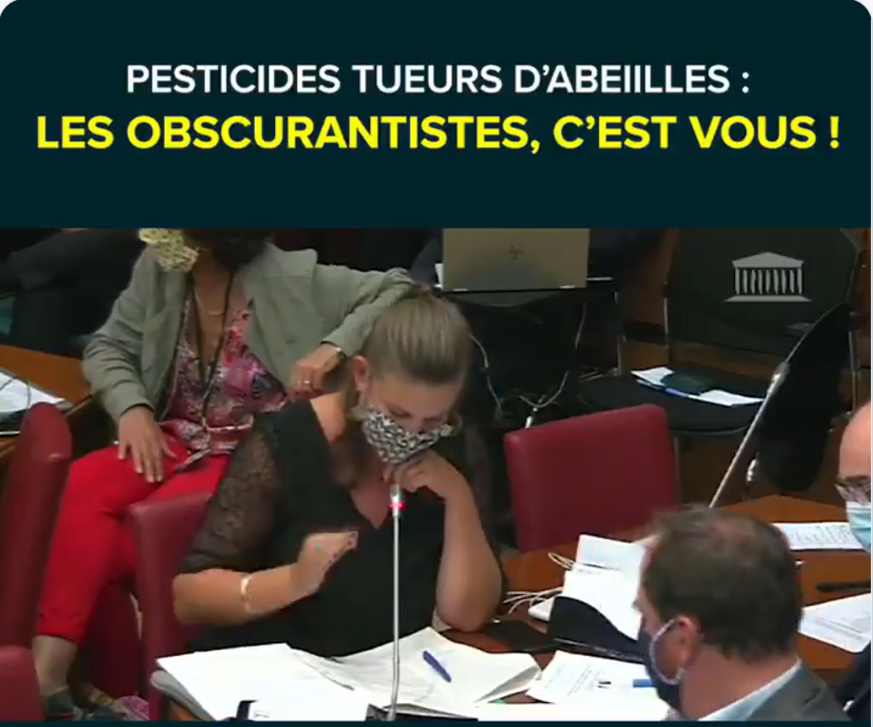 Fireshot-pro-screen-capture-377-20-mathilde-panot-sur-twitter- - -pesticides-tueurs-d-abeilles- -les-obscurantistes-c-est-vou -twitter com