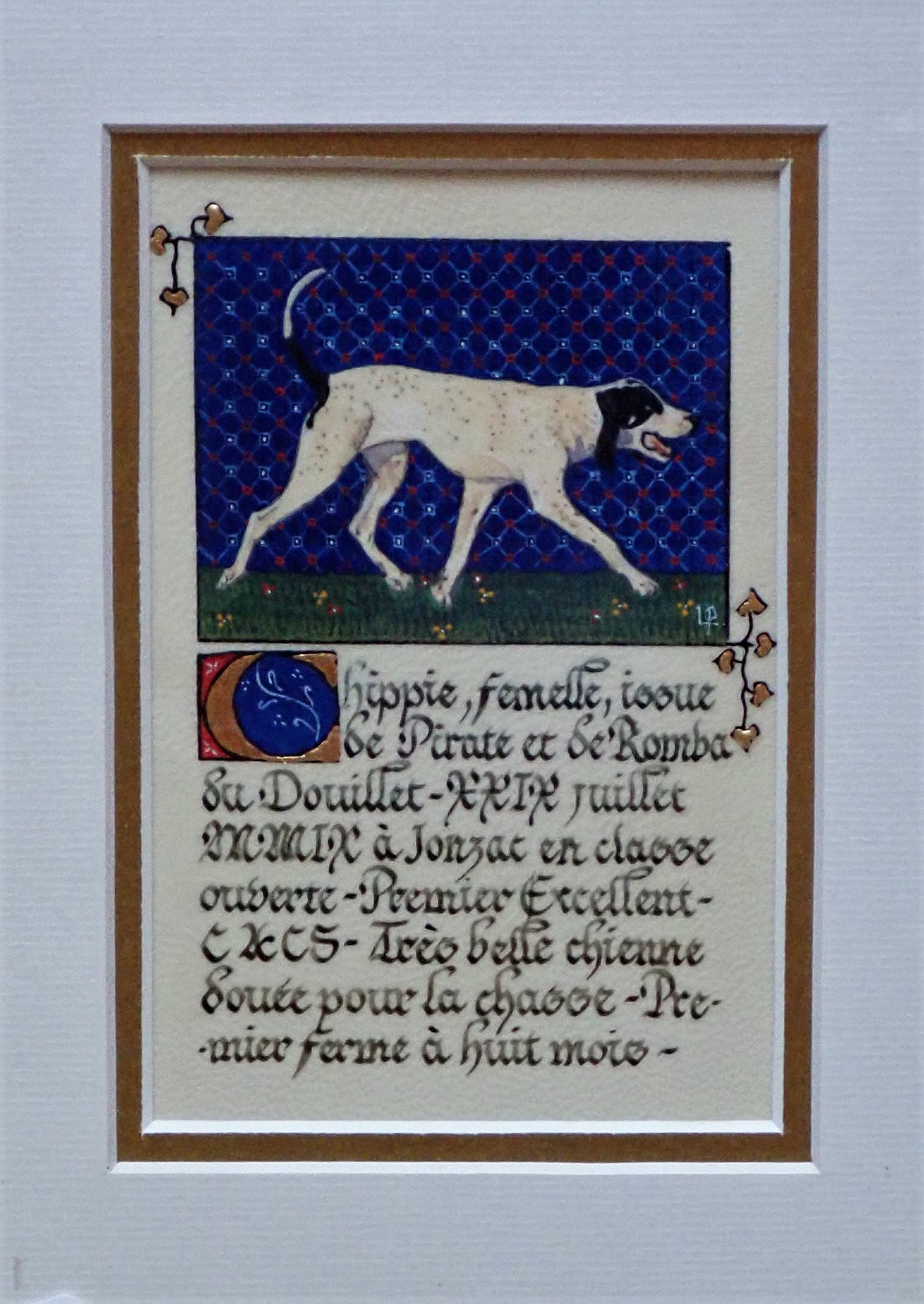 2012 dalmatien