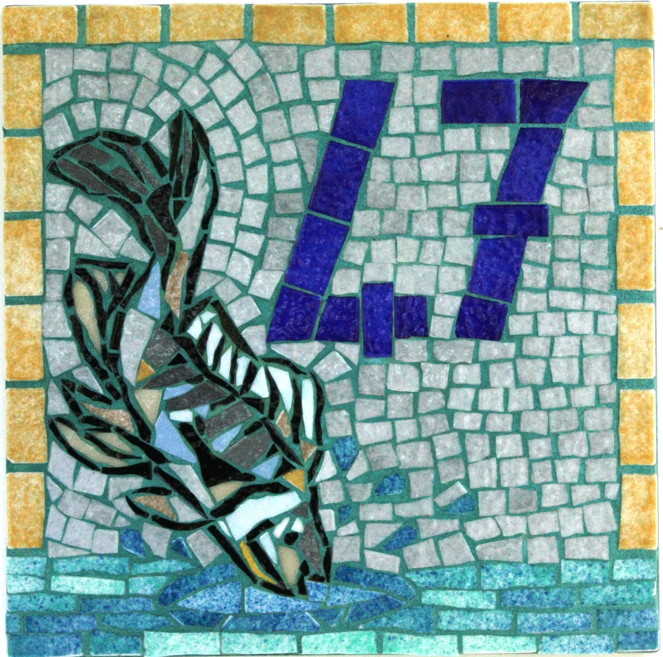 Numeros 07 
