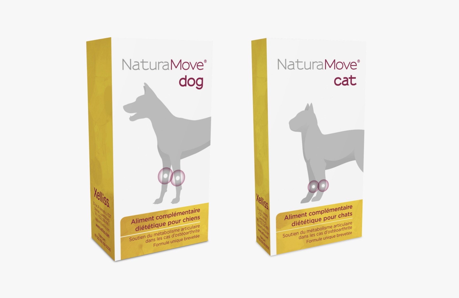 Image-Cat-Dog