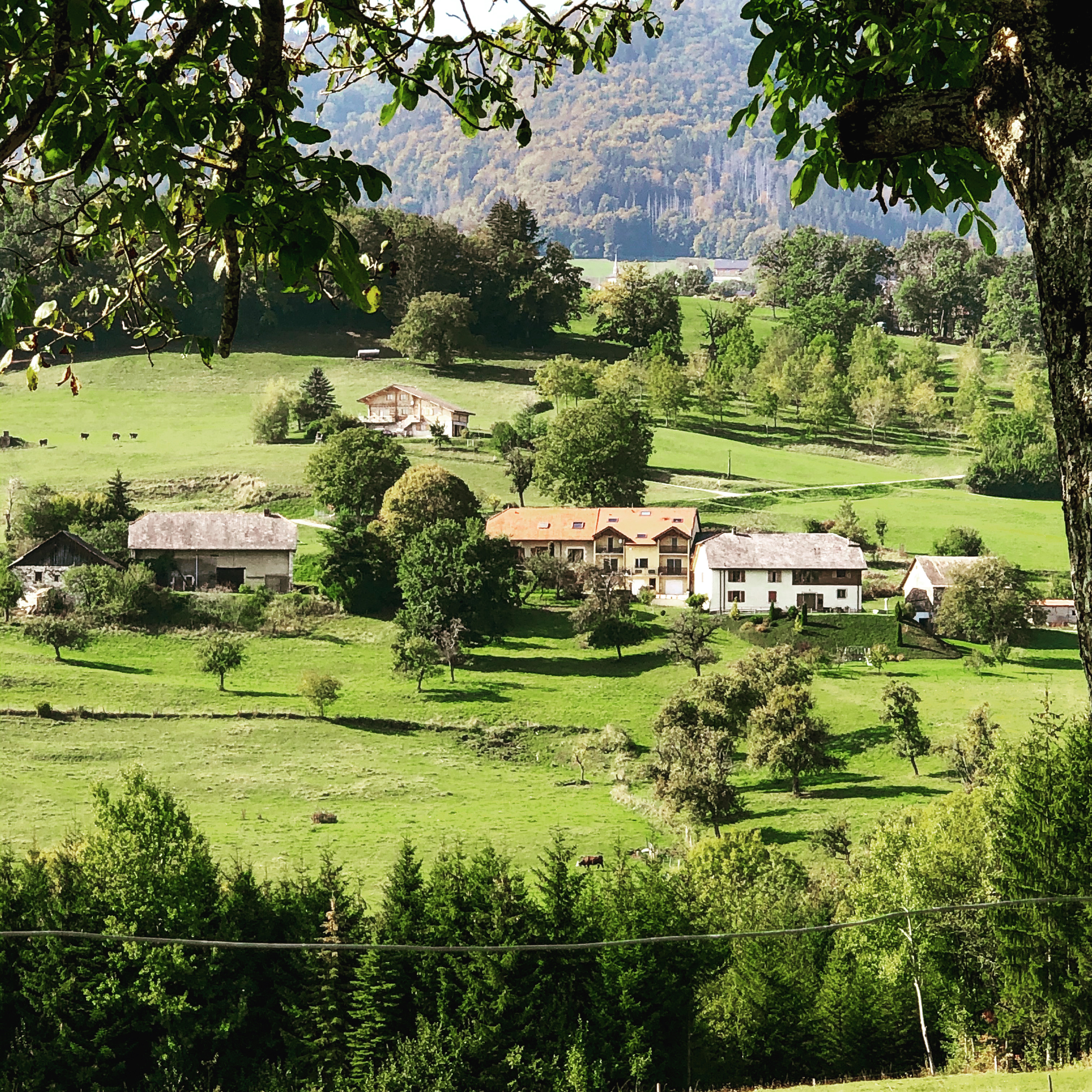 Vue de Sallanjoux depuis Villy-le-Bouveret 
photographie : La Salévienne septembre 2020