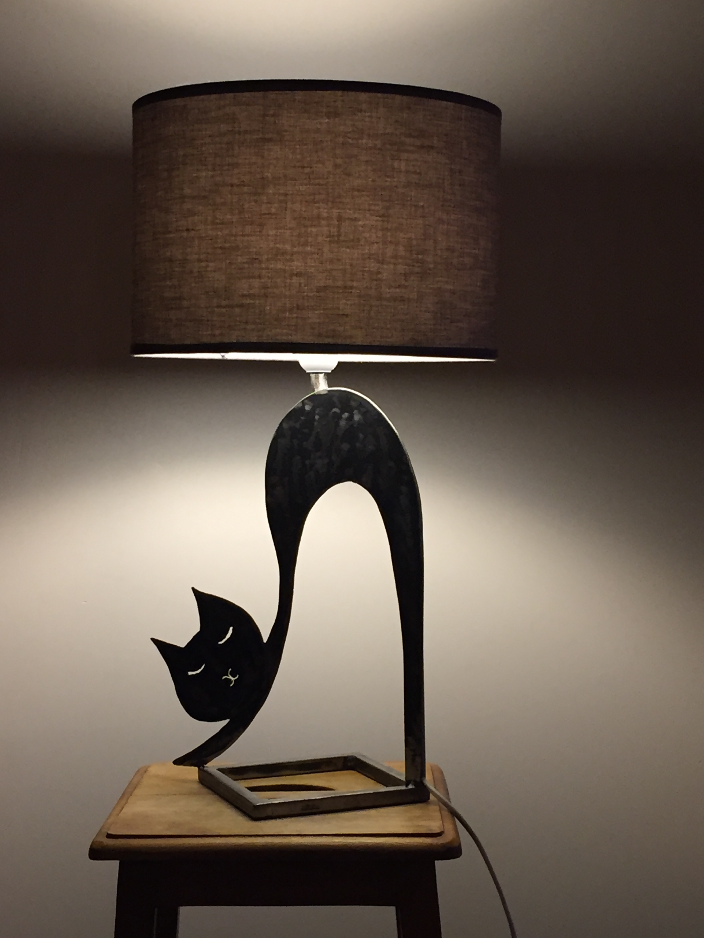 Lampe chat 4