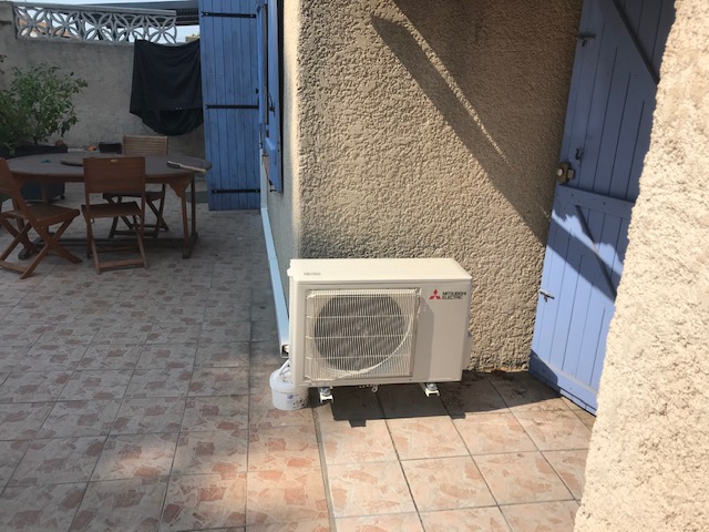 IMG 3370