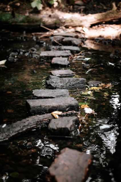 Règles, limites ou laisser faire