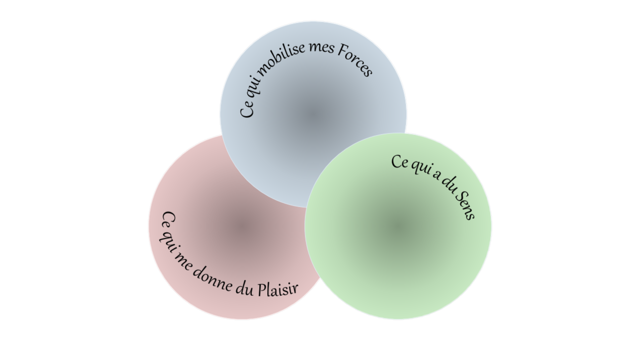 Schemas1