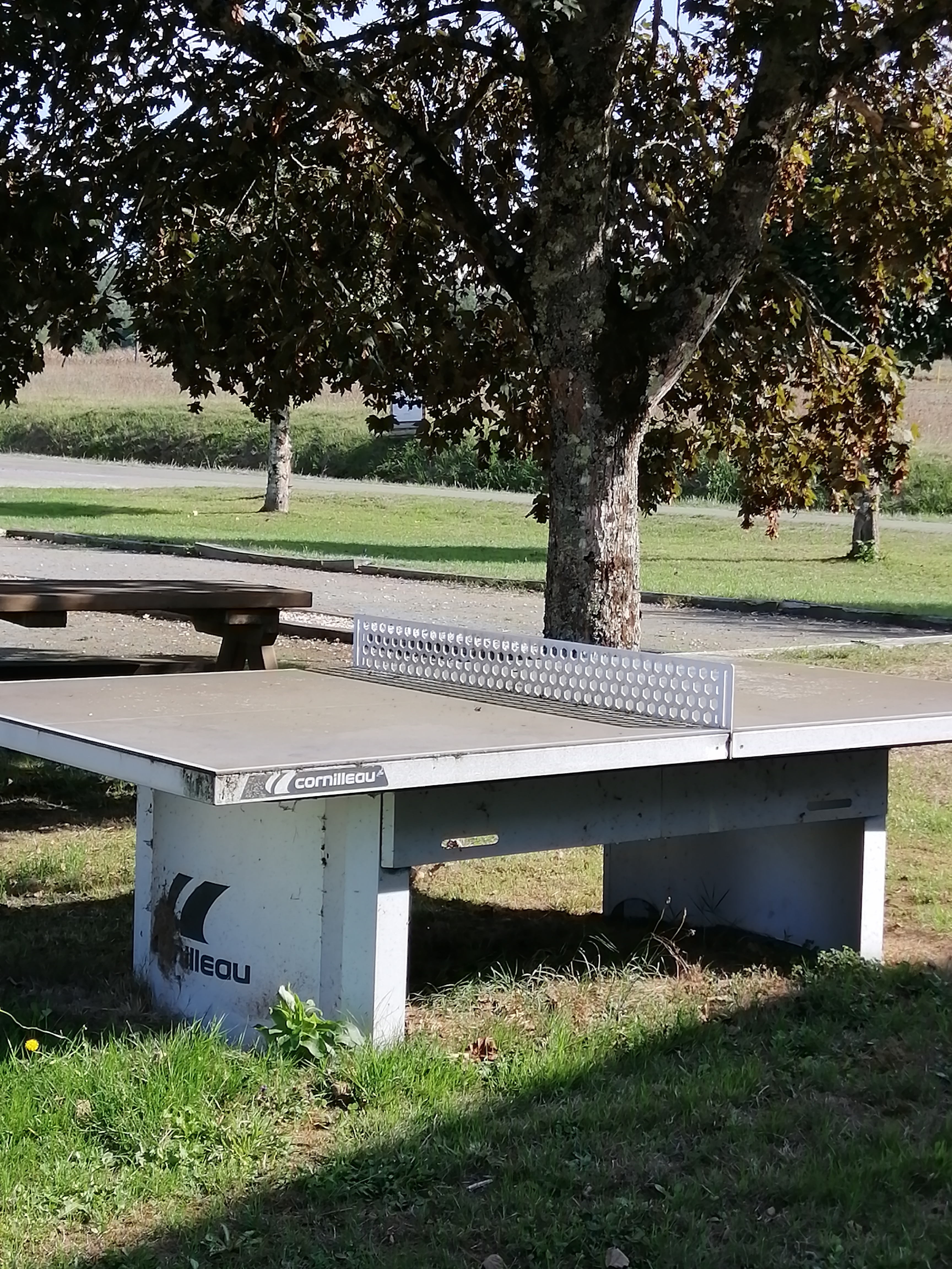 Table ping pong