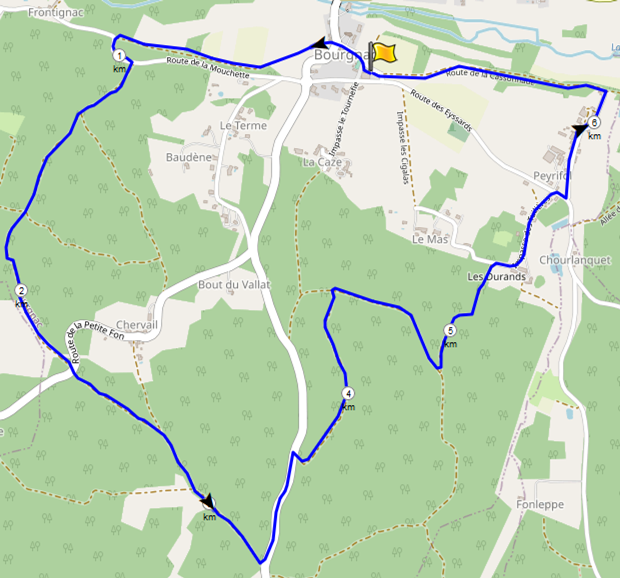 Bourgnac-et-ses-bois-au-sud