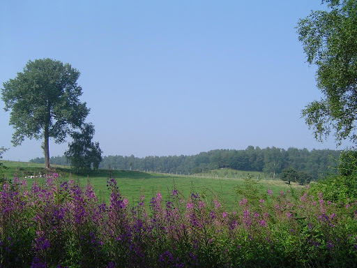 Vue-du-verger-