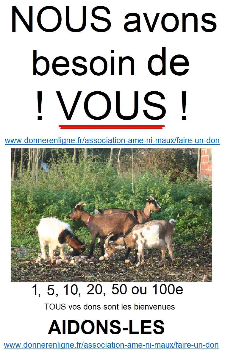 Asso-aide-Copie-2-