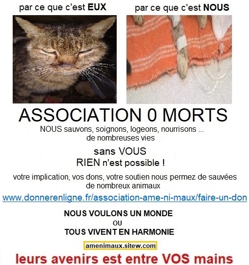 Asso-anm