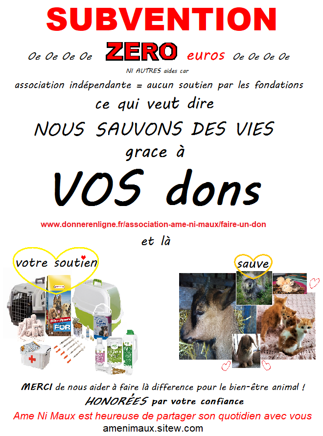 Assosubventions-2-