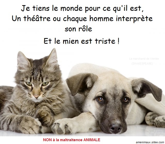 7099-Copie