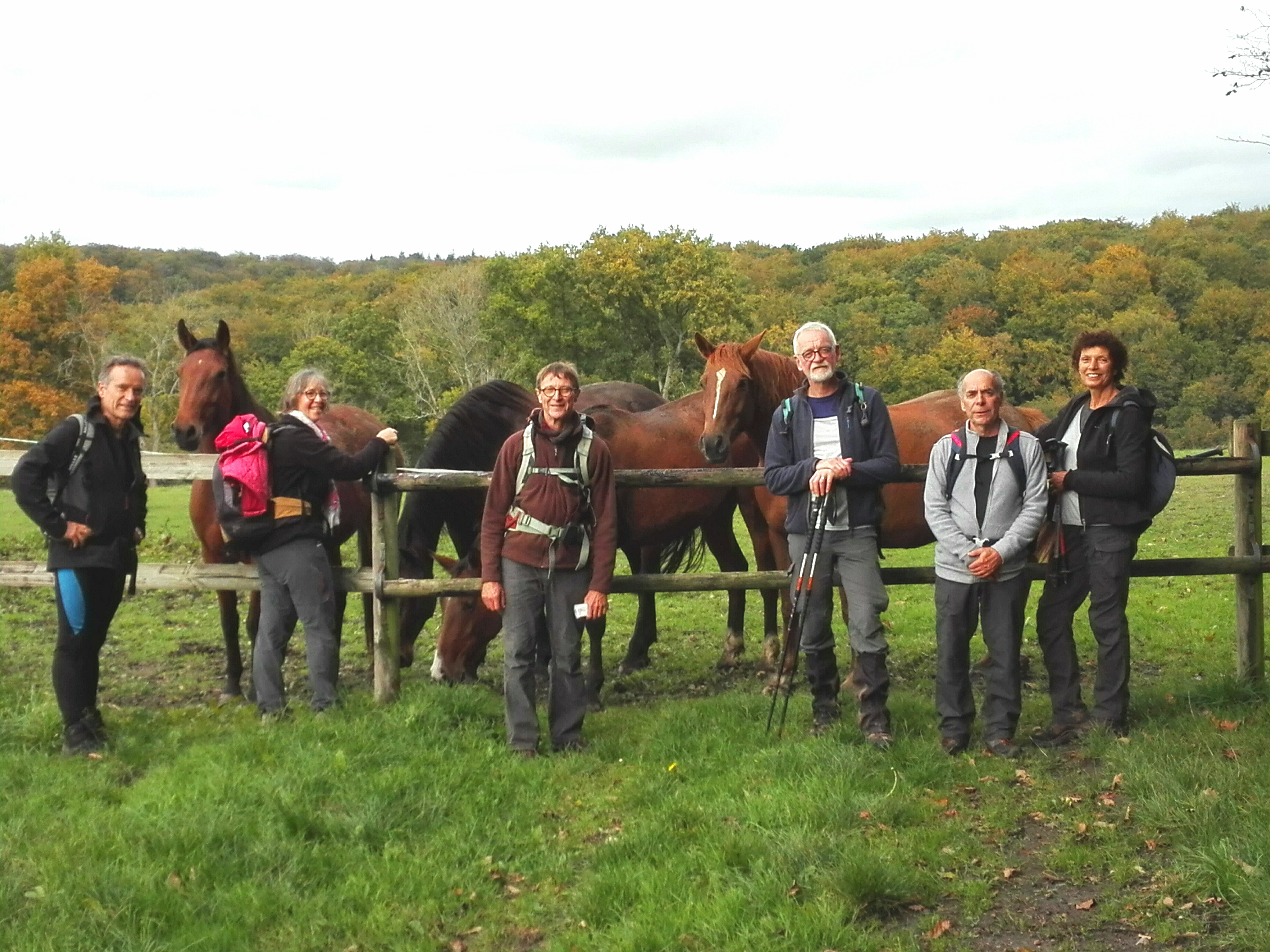 Sortie mensuelle lyons 12 10 2020 chevaux