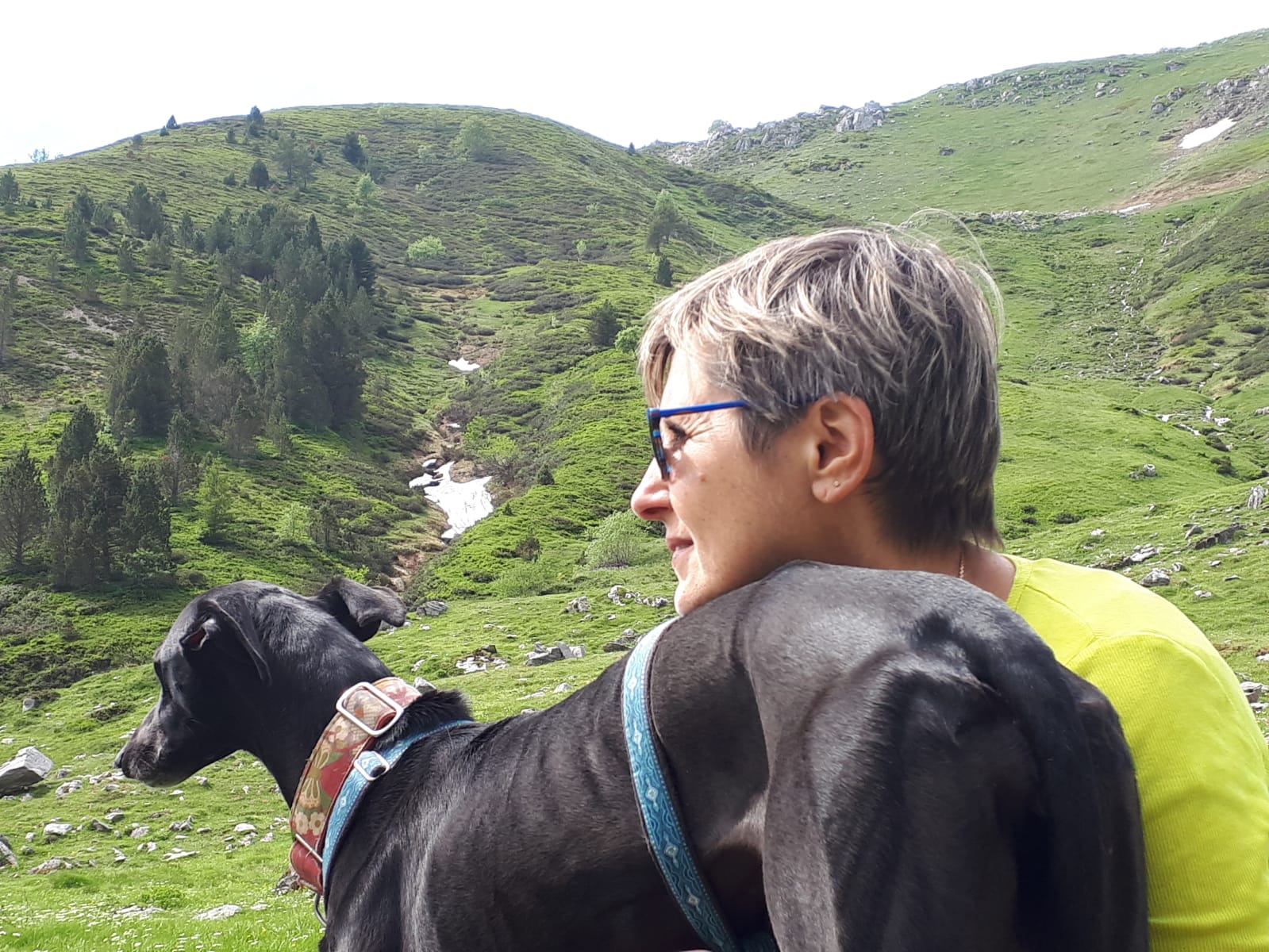 Img 20190624 wa0021 1 