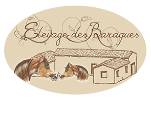 Logo-elevage-des-baraques