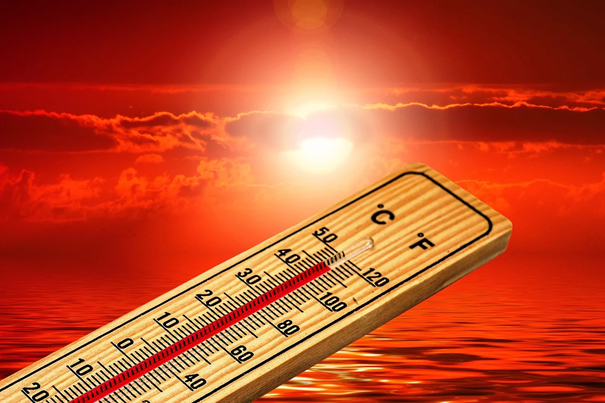Thermo