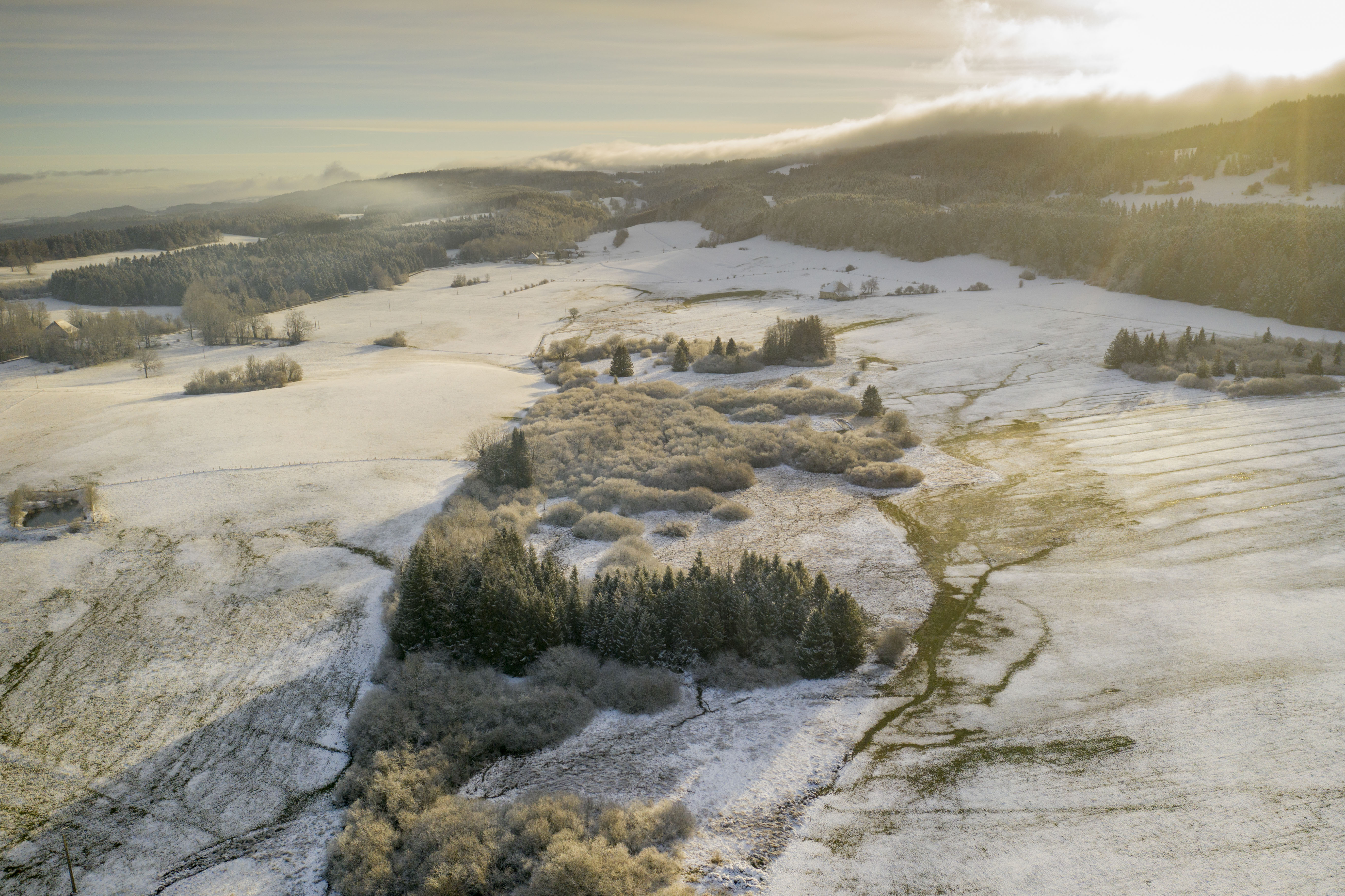 Dji 0290