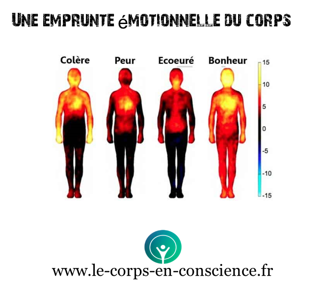 Une emprunte émotionnelle du corps