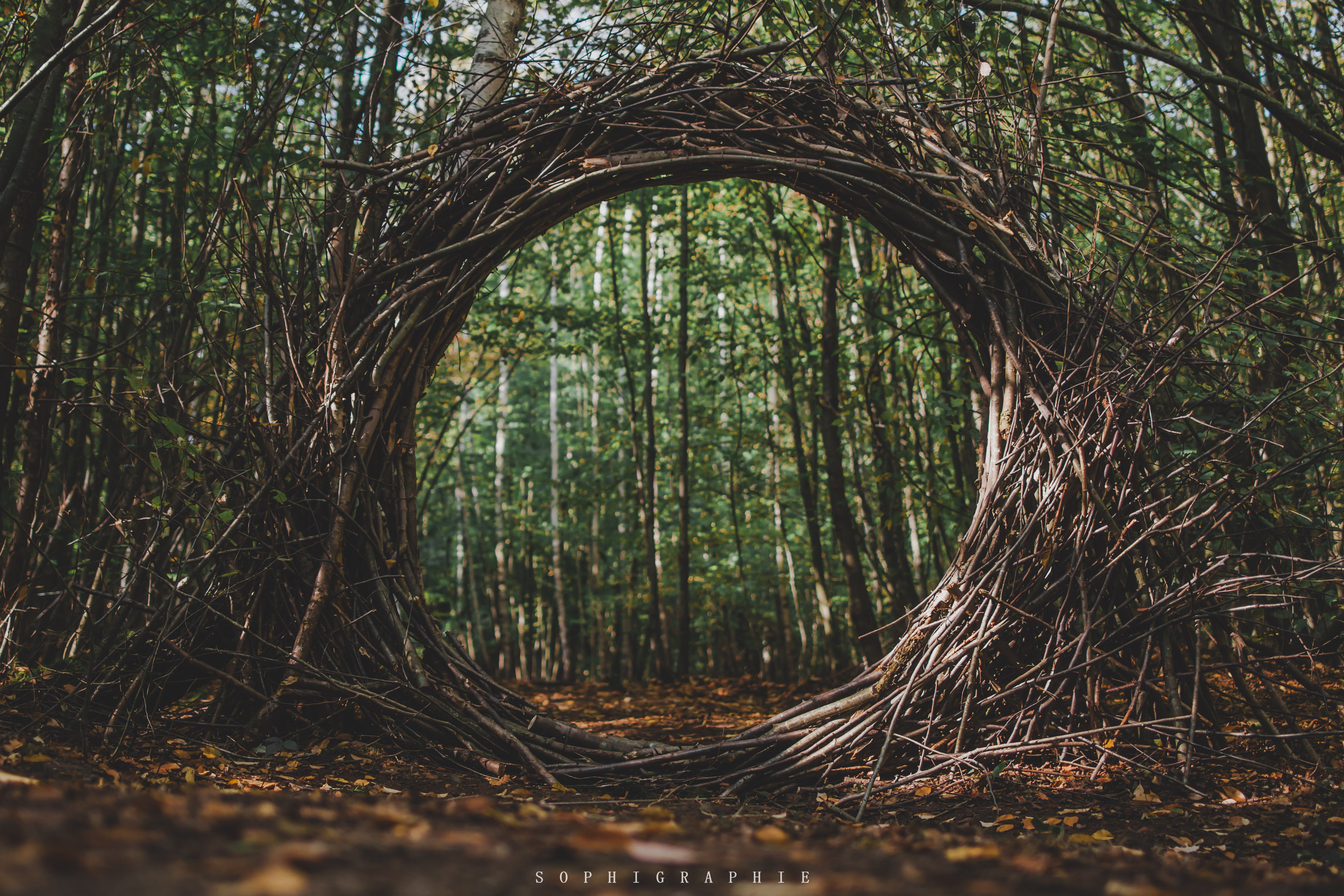 Landart20 43