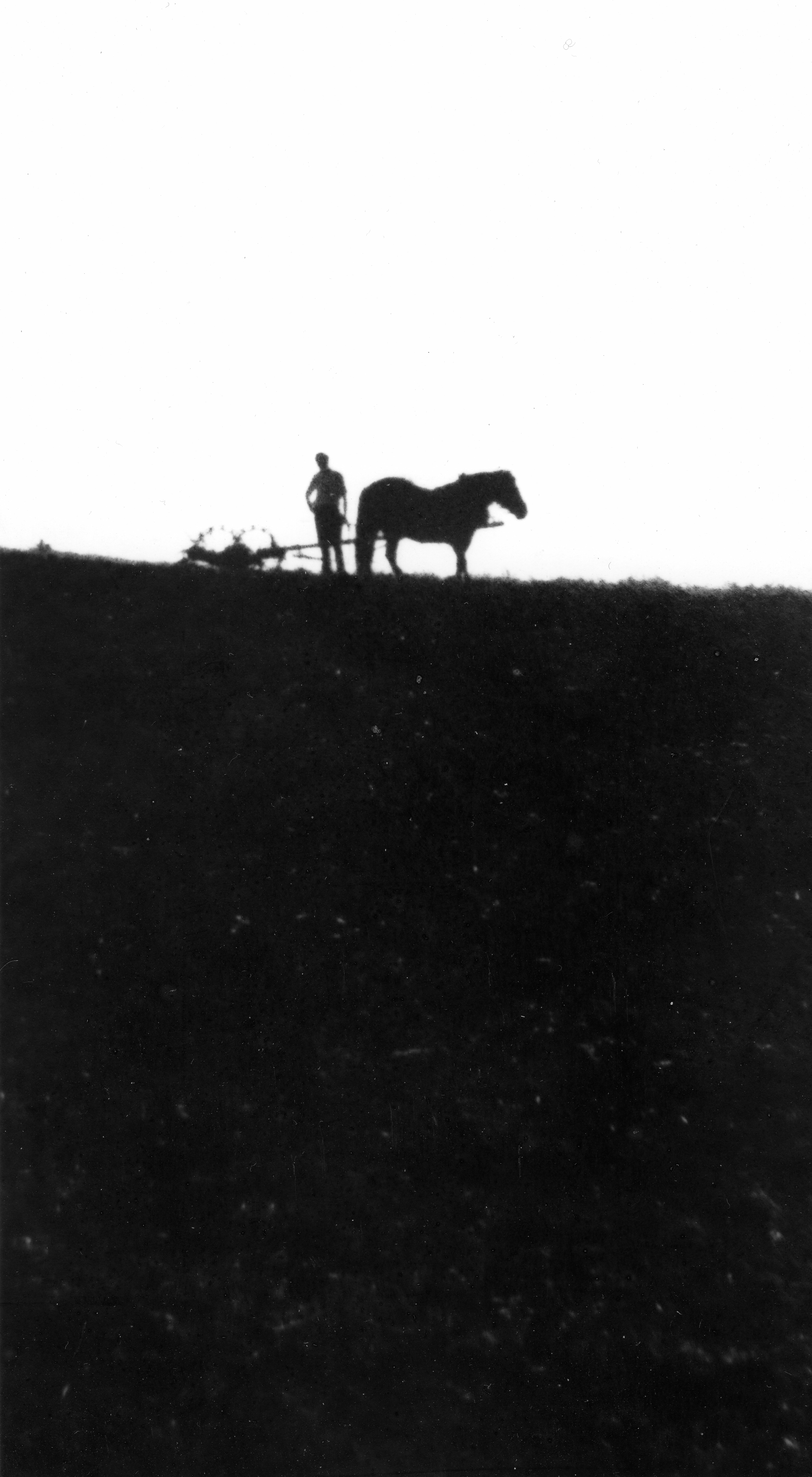 Polna-millet-2001