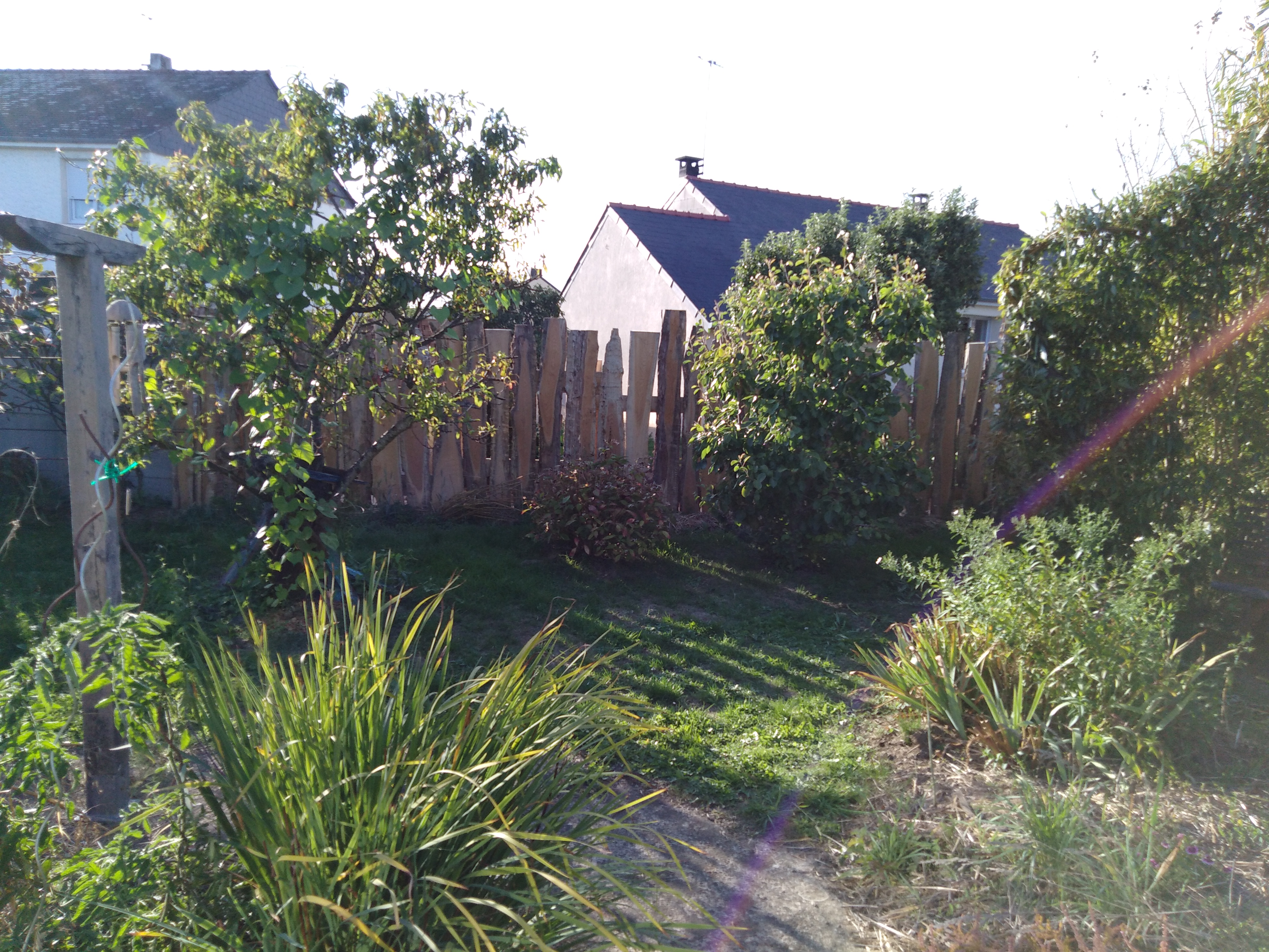 Img 20200903 185235