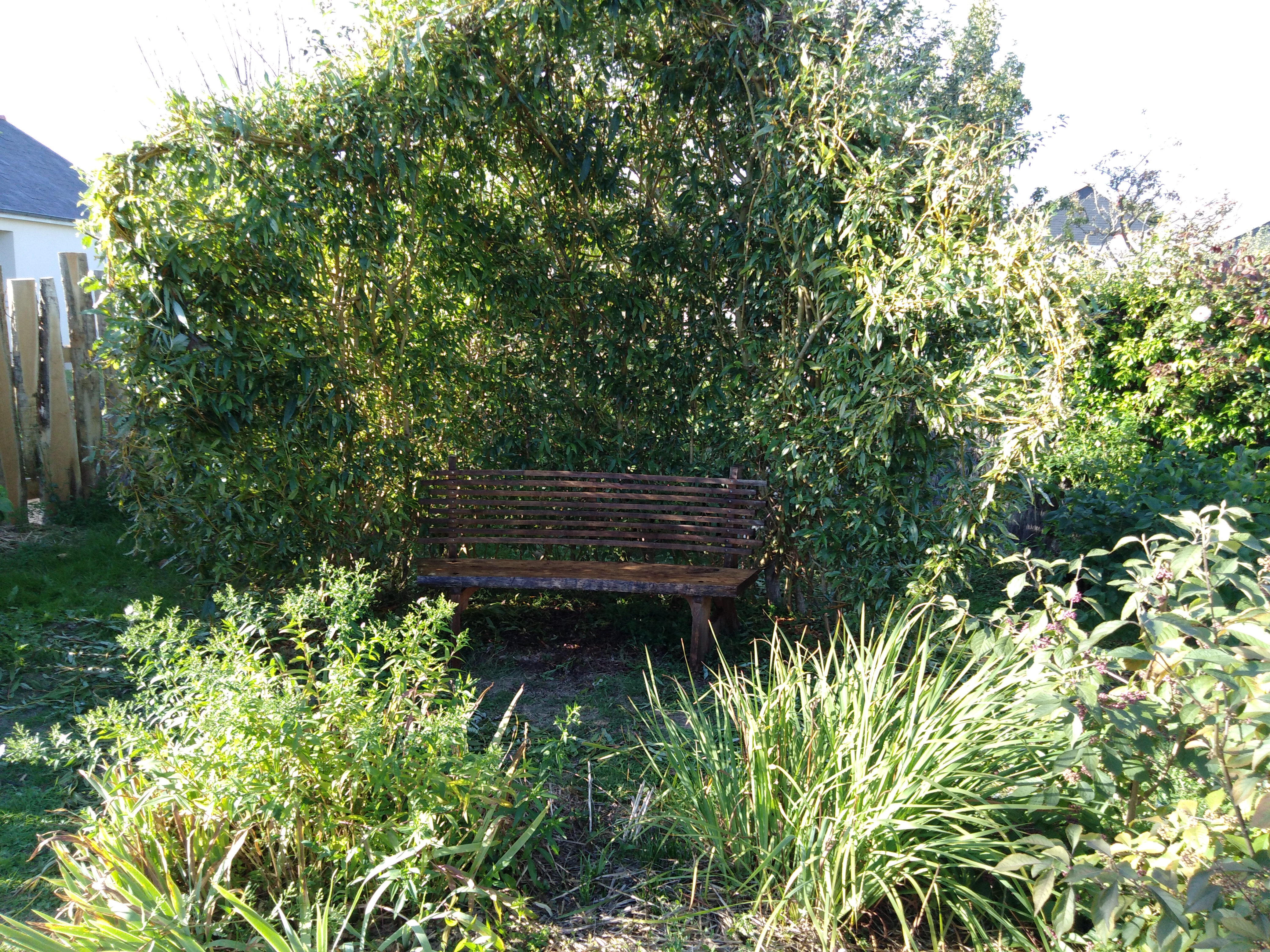 Img 20200903 185259